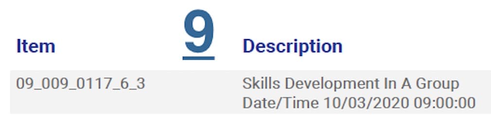 ndis invoice item and description requirements