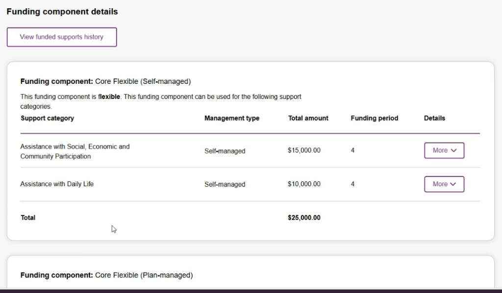 New NDIS PACE Funding Components and Period Changes